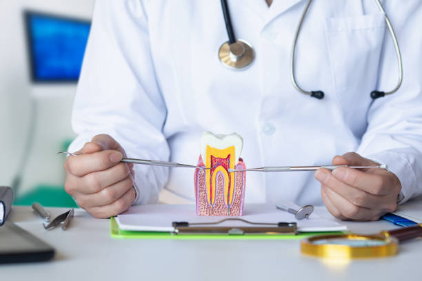 Best Dentist for Dental Trauma  in Carey, OH